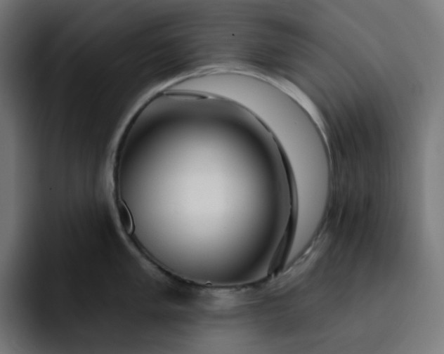 X0000093141005200710101114