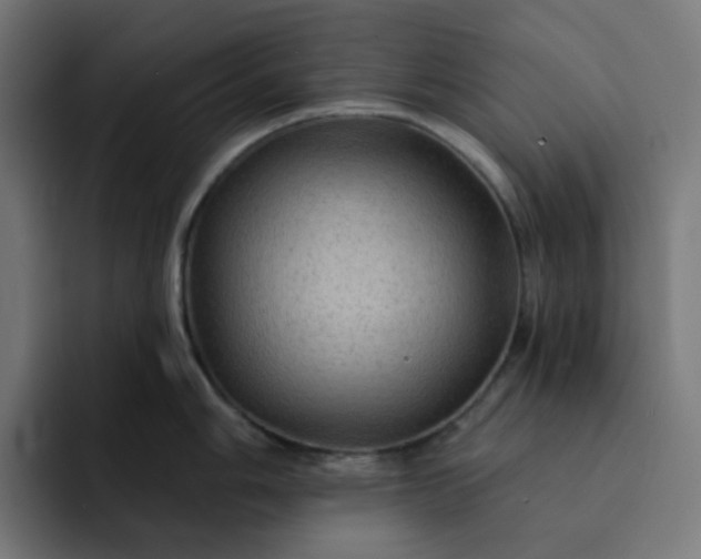 X0000093141006200710101114