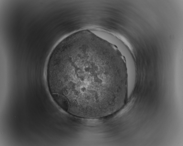 X0000093141007200710101114