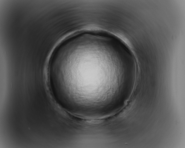 X0000093141008200710101114