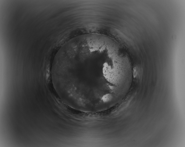 X0000093141011200710101113