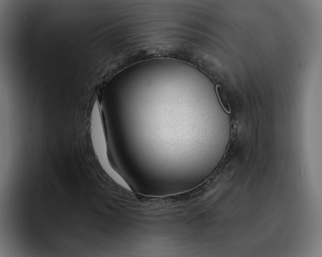 X0000093141012200710101113