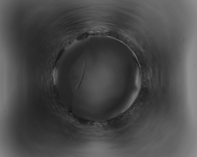 X0000093141013200710101113