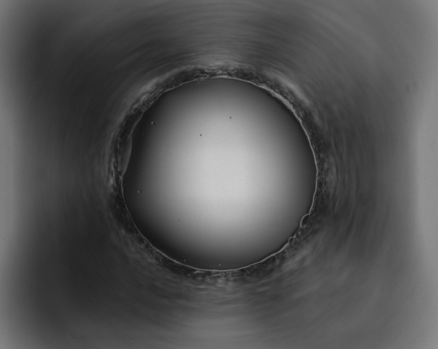 X0000093141016200710101113