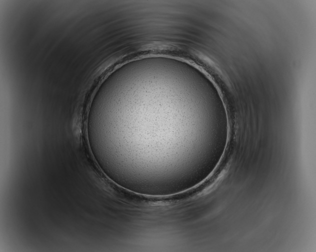 X0000093141017200710101113