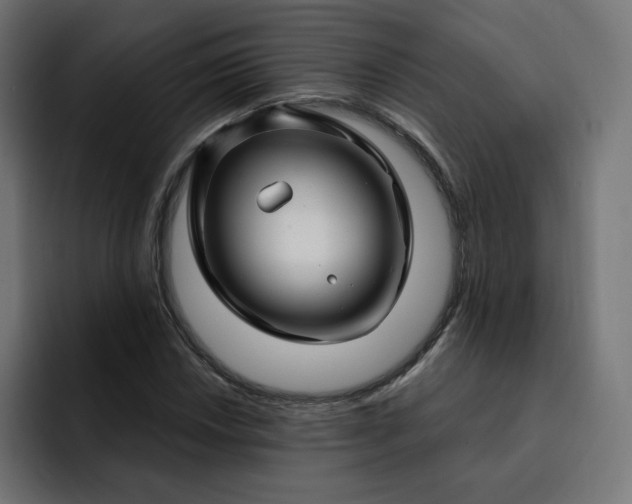 X0000093141018200710101113