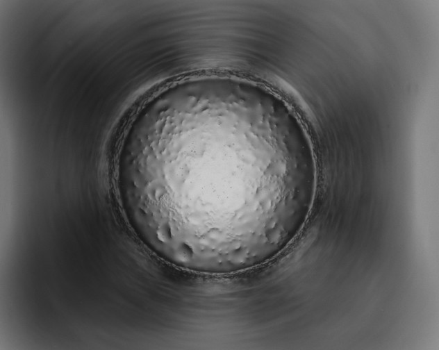 X0000093141019200710101113