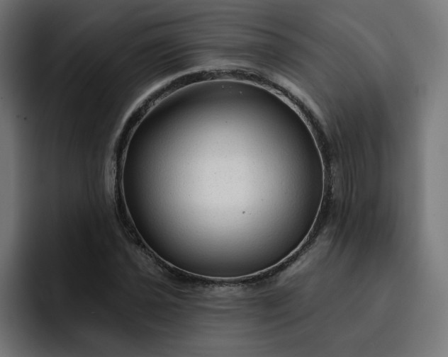 X0000093141021200710101113