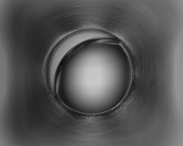 X0000093141022200710101113