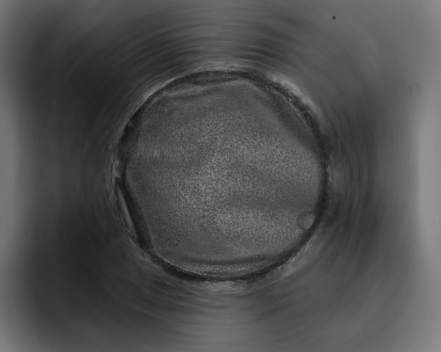 X0000093141025200710101113