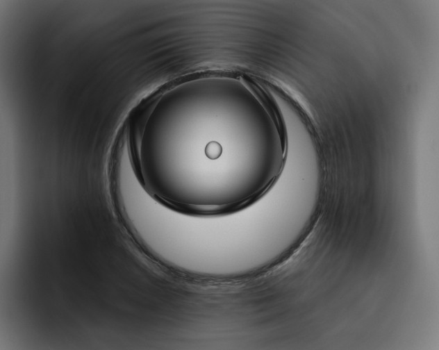 X0000093141026200710101113