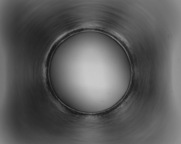 X0000093141029200710101113