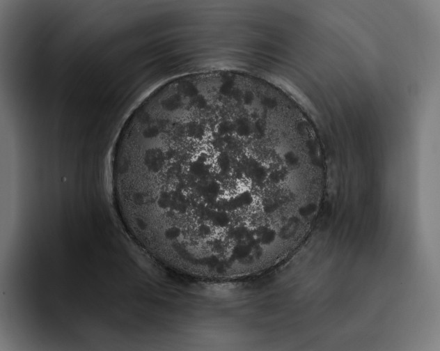 X0000093141031200710101113