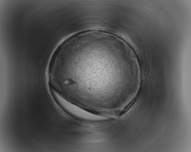 X0000093141032200710101113