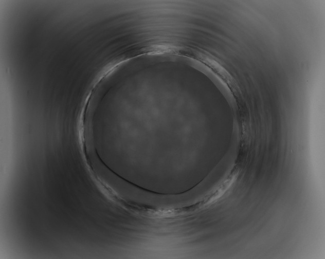 X0000093141034200710101113