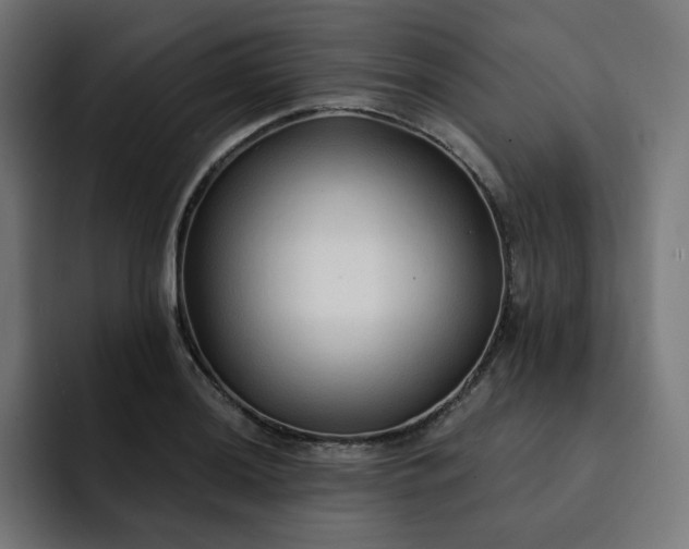 X0000093141036200710101113