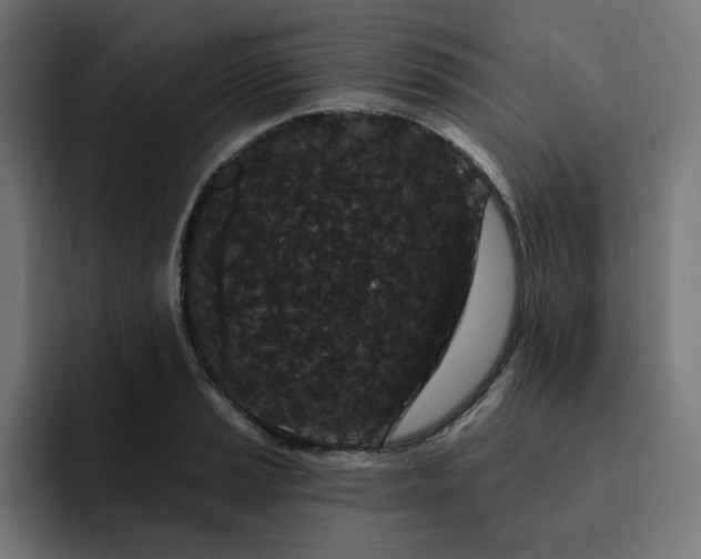 X0000093141037200710101113