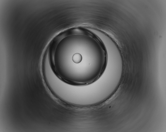 X0000093141038200710101113