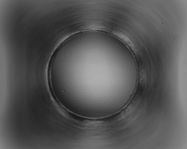 X0000093141039200710101113