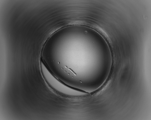 X0000093141041200710101114