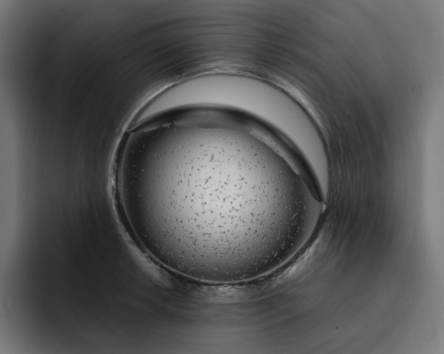 X0000093141042200710101114