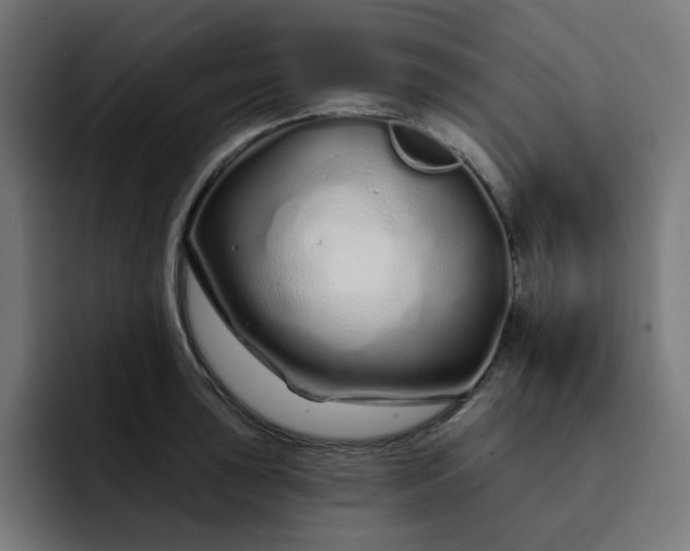 X0000093141043200710101114