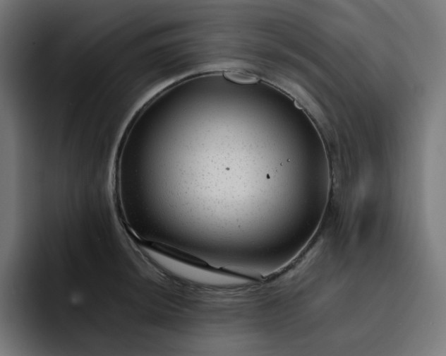 X0000093141044200710101114