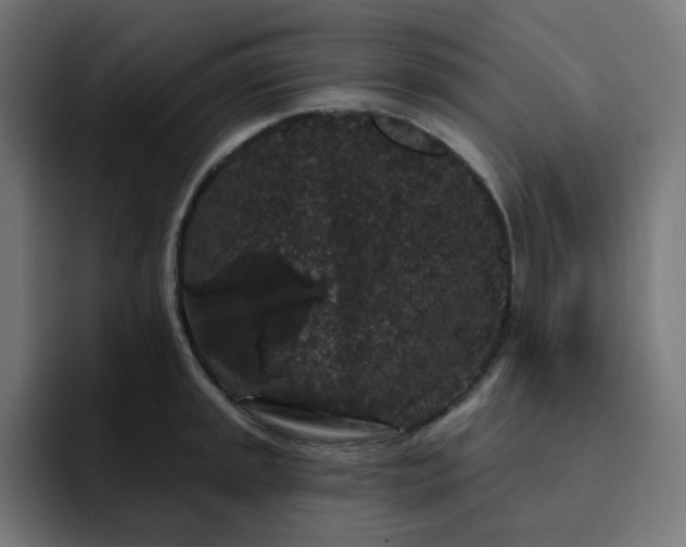 X0000093141045200710101114