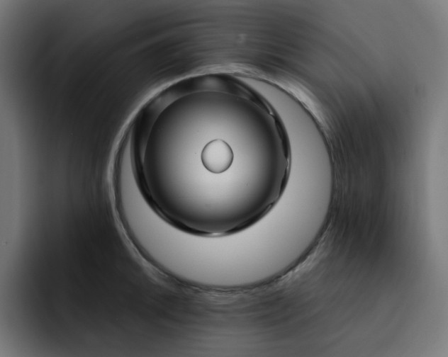 X0000093141046200710101114