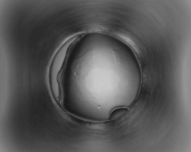 X0000093141047200710101114