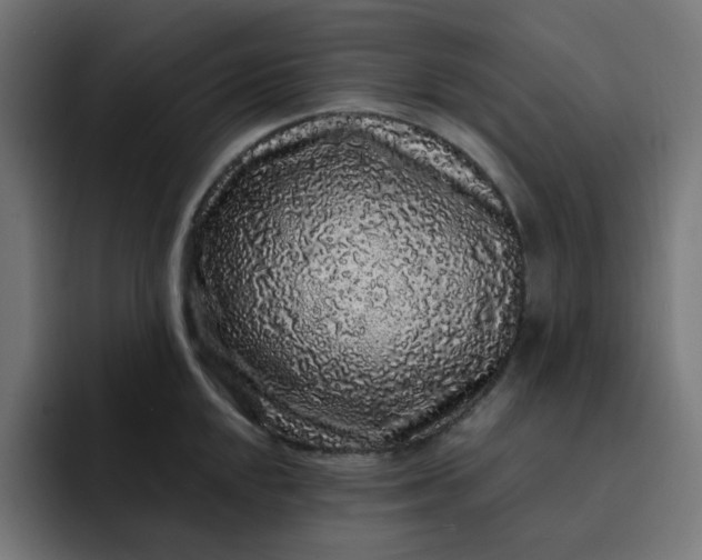 X0000093141048200710101114