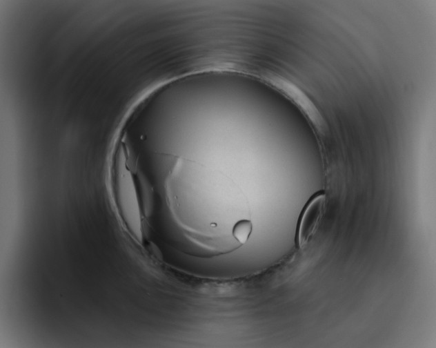 X0000093141051200710101114