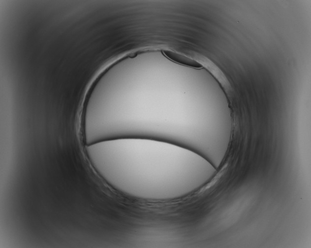 X0000093141052200710101114