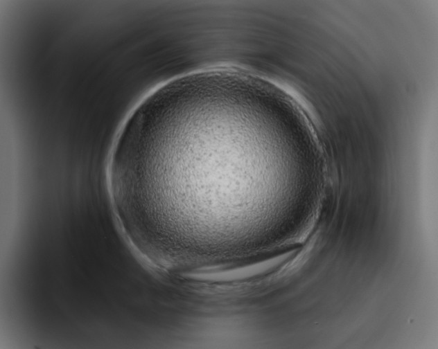 X0000093141054200710101114