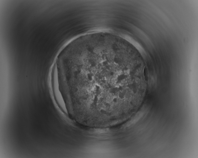 X0000093141055200710101114