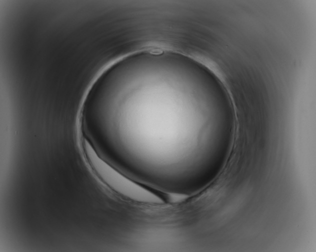 X0000093141056200710101114