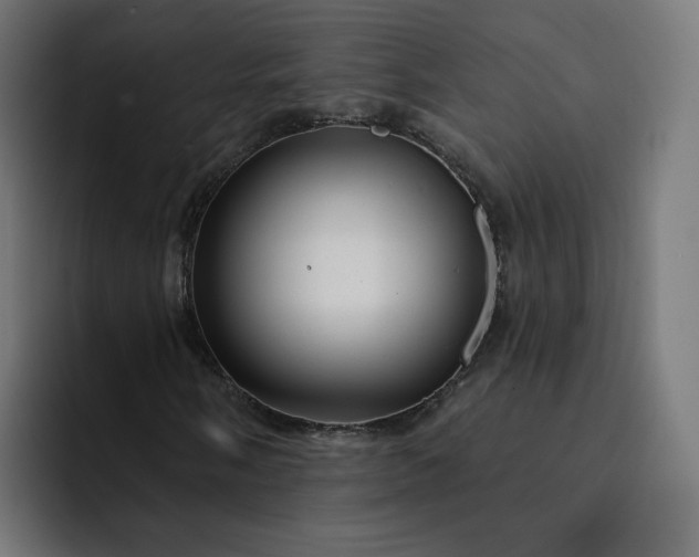 X0000093141058200710101113