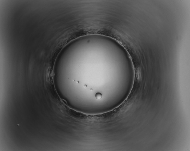 X0000093141059200710101113