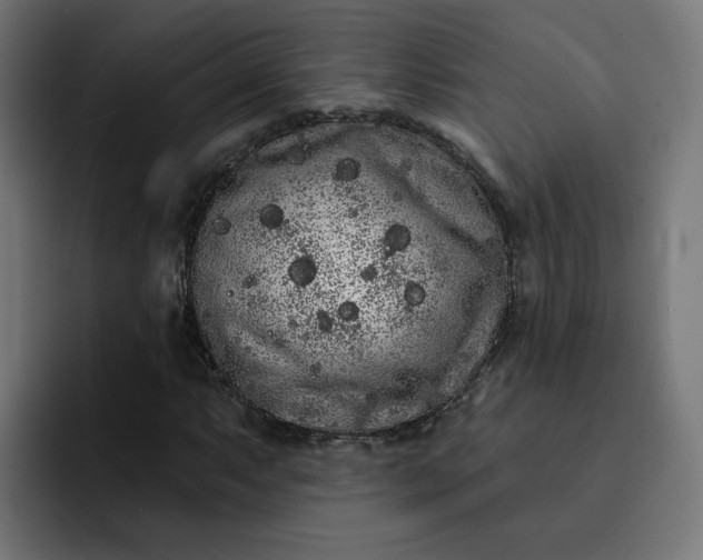 X0000093141063200710101113