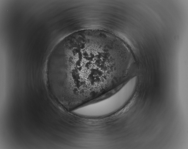 X0000093141071200710101113