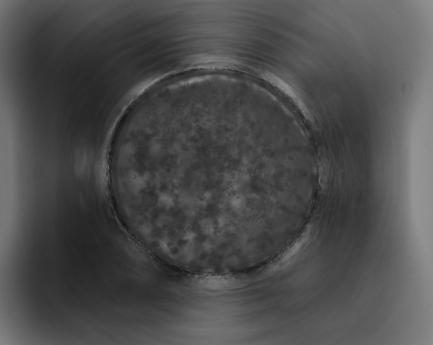 X0000093141074200710101113