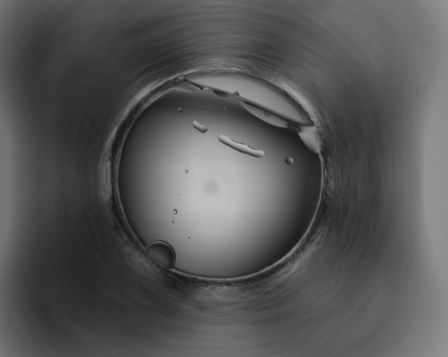 X0000093141075200710101113