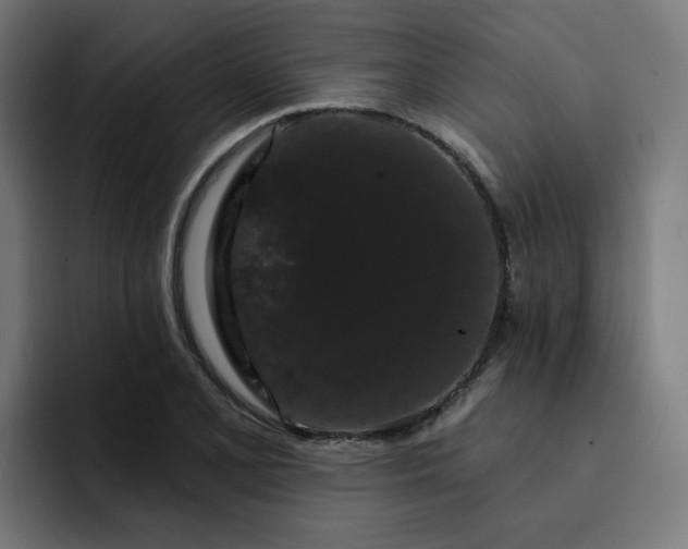 X0000093141077200710101113