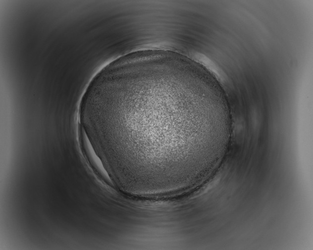 X0000093141079200710101113