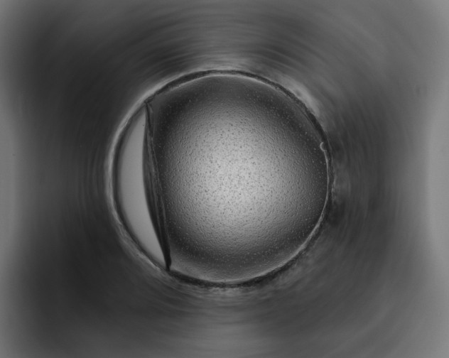 X0000093141080200710101113