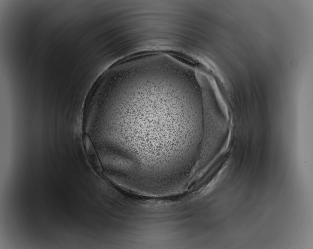 X0000093141081200710101113