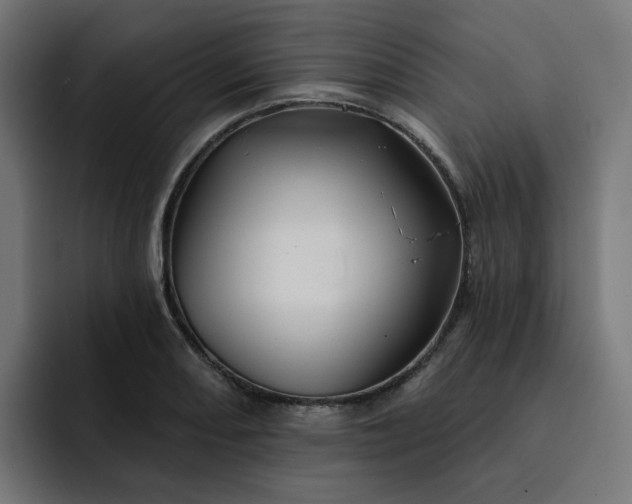 X0000093141082200710101113