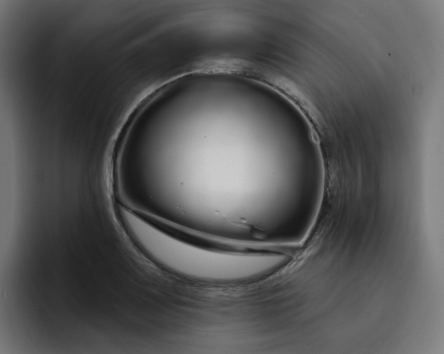 X0000093141083200710101113