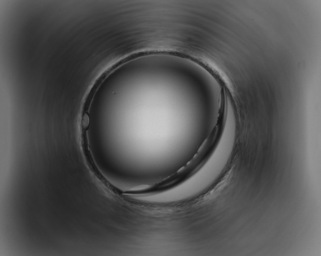 X0000093141085200710101113