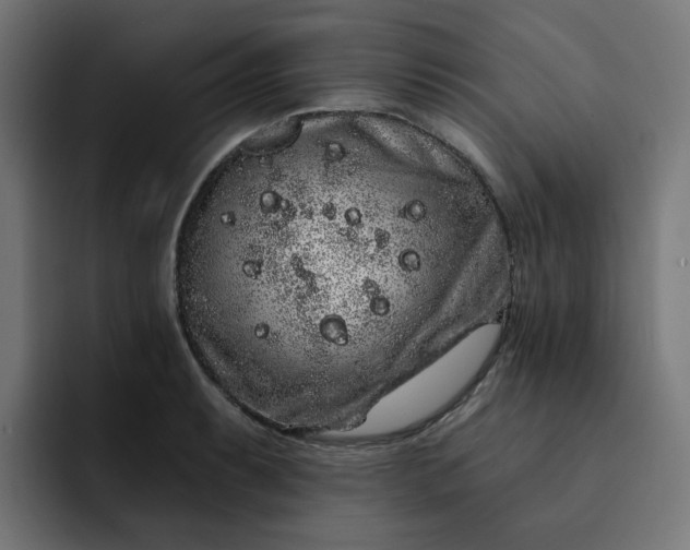 X0000093141087200710101113